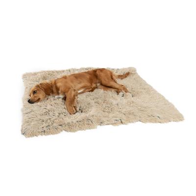 Best Friends by Sherri Shag Blanket