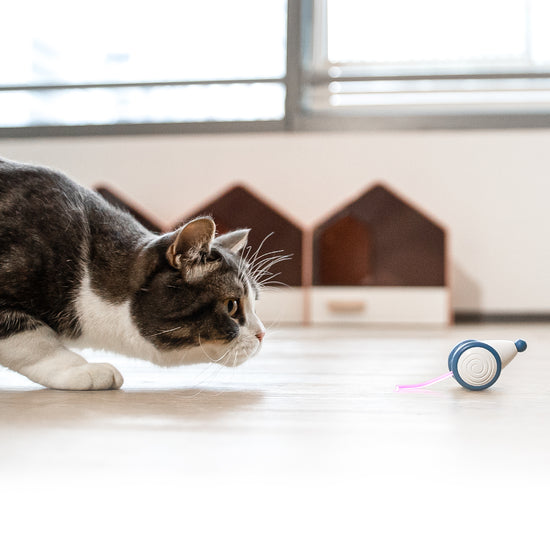Cheerble Wicked Mouse Bionic Mouse Interactive Cat Toy