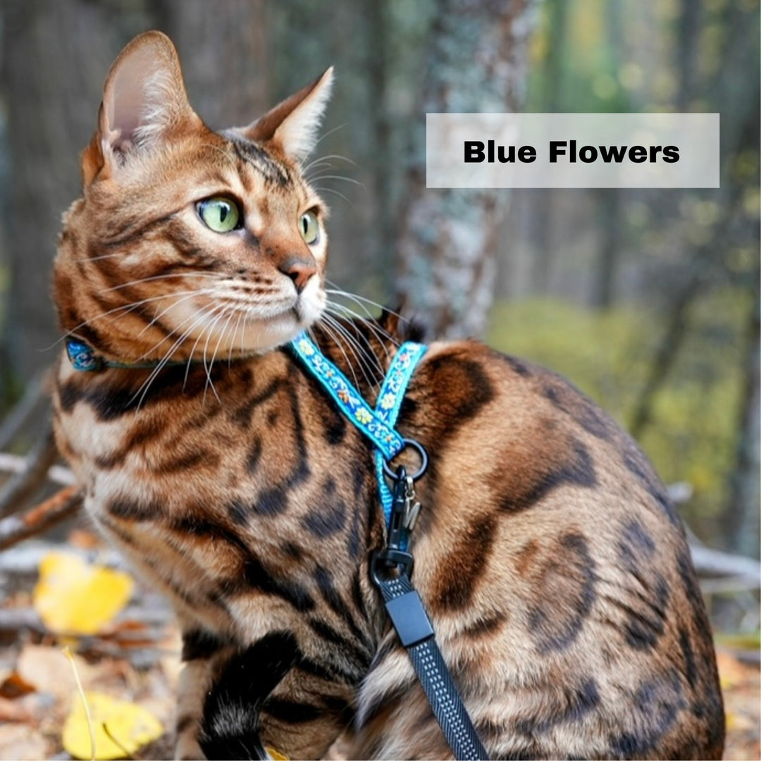 Surfer Cat Harness