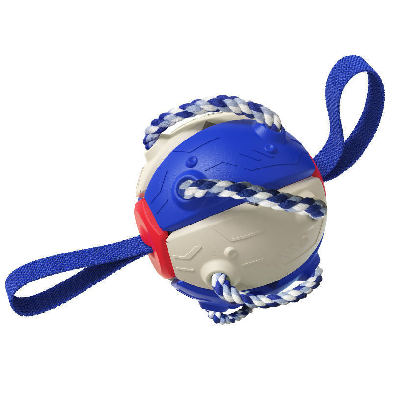 Dog Football Soccer Ball