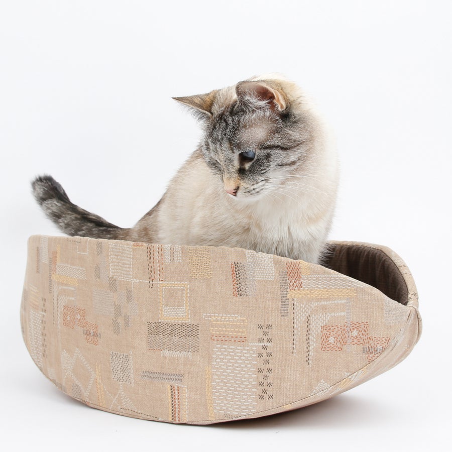 The Cat Canoe