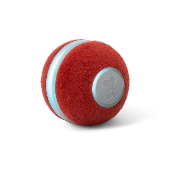 Cheerble Interactive Cat Ball