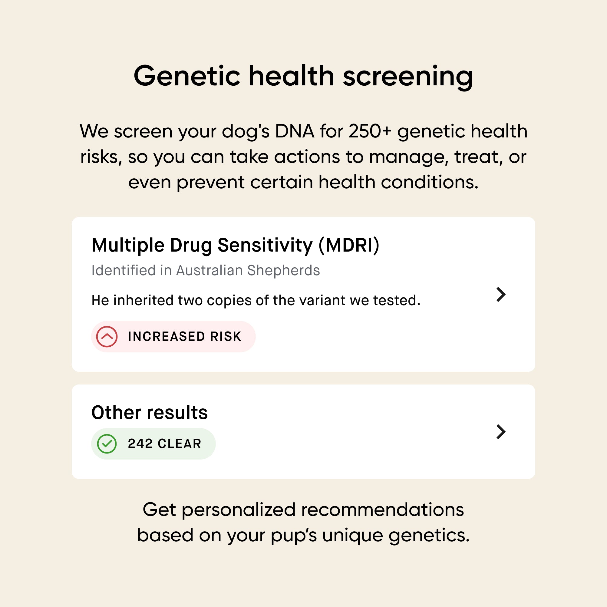 Embark dog DNA test kits