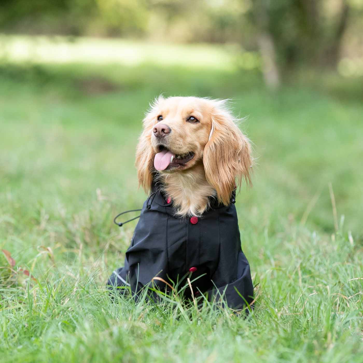 Hugo & Hudson Reflective Hooded Dog Overalls