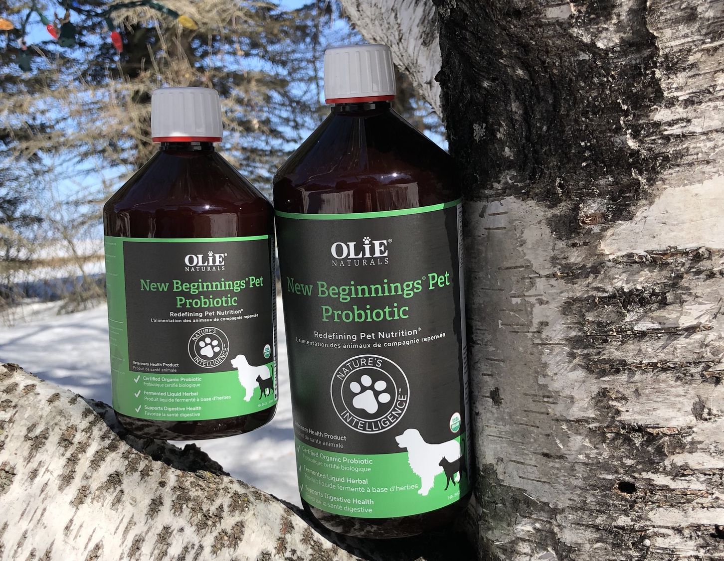Olie Naturals New Beginnings Pet Probiotic 1Litre