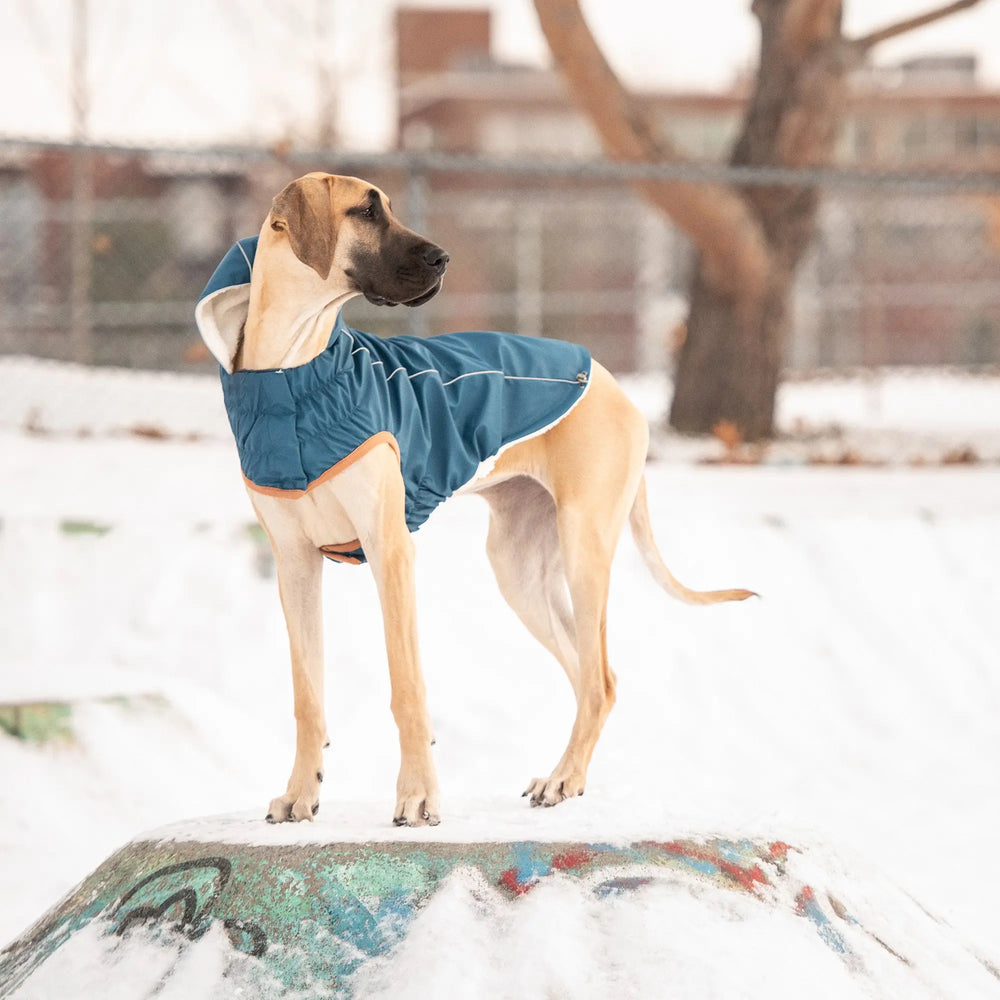 GF Pet Insulated Dog Raincoat