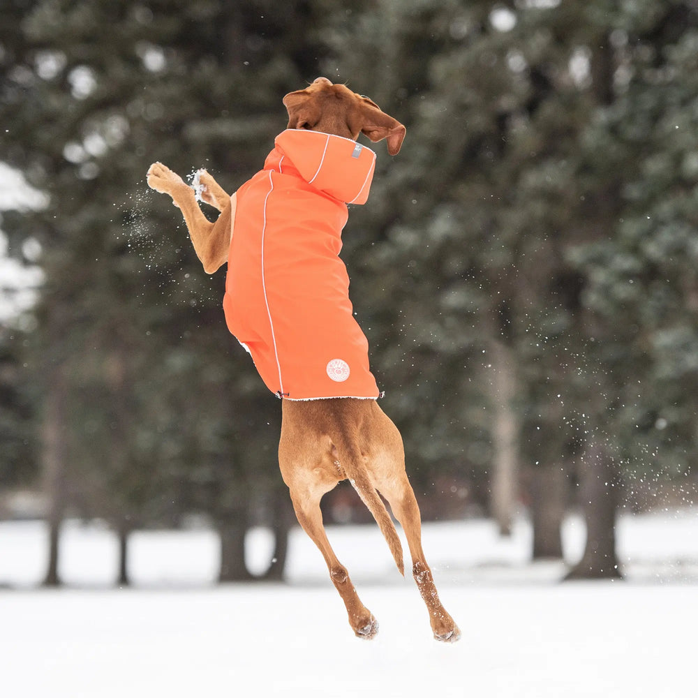 GF Pet Insulated Dog Raincoat