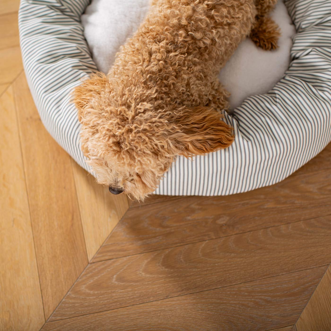 Donut Bed in Regency Stripe by Lords & Labradors