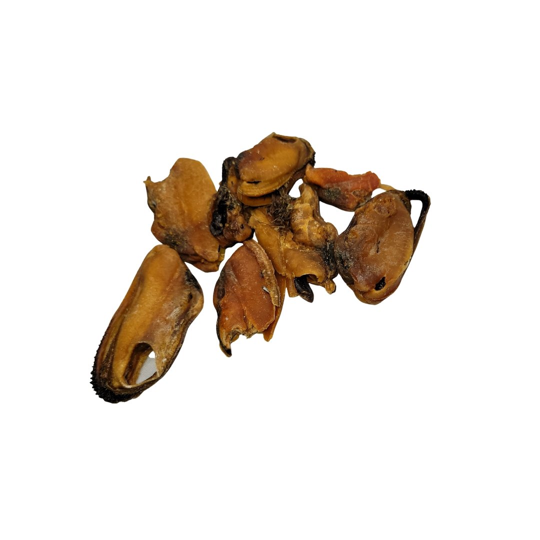 Air Dried Green lipped Mussel