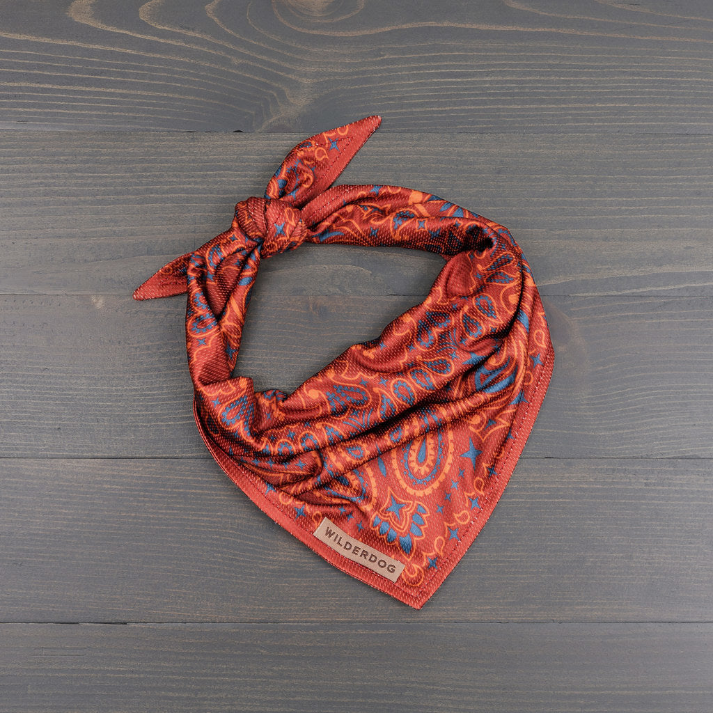 Rodeo Bandana