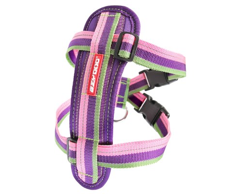 Ez Dog Chest Plate Harness/Reflective Piping with Car Restraint